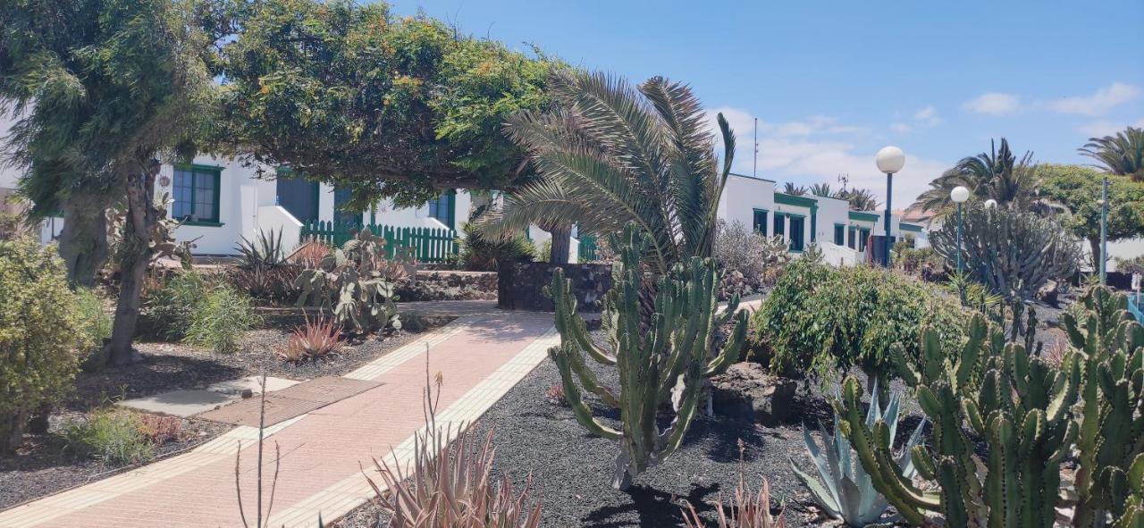 Casa Alice Cocosol Villa Costa De Antigua Exteriör bild